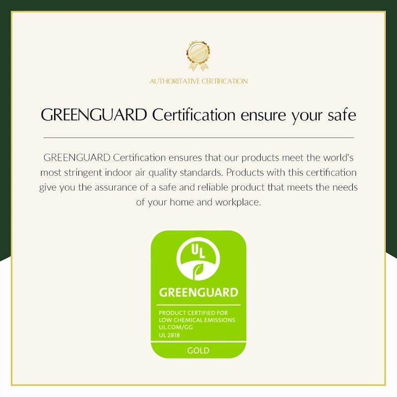 Kunz Transitional Genuine Leather Armchair with Removable Cushion and Nailhead Trims