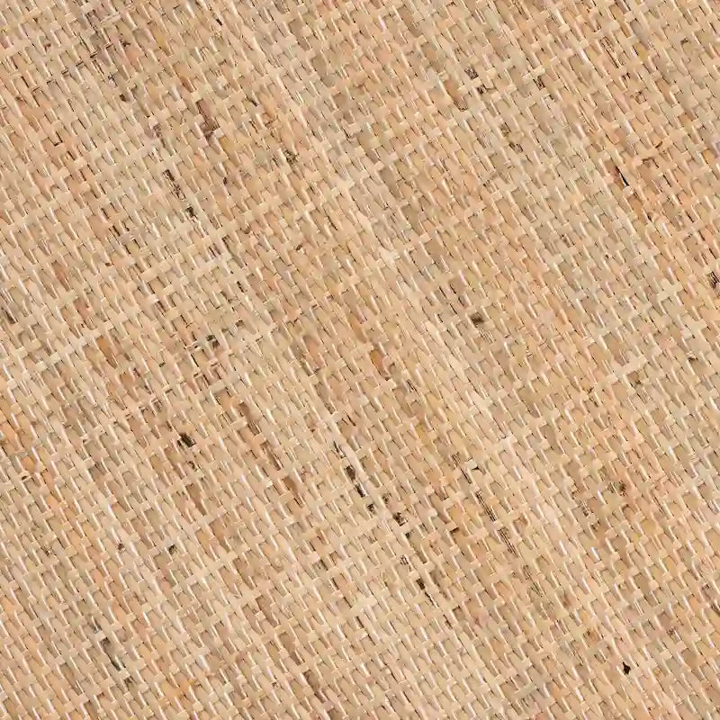 Jayden Bohemian Natural Brown Finished Rattan End Table Set(2PC)