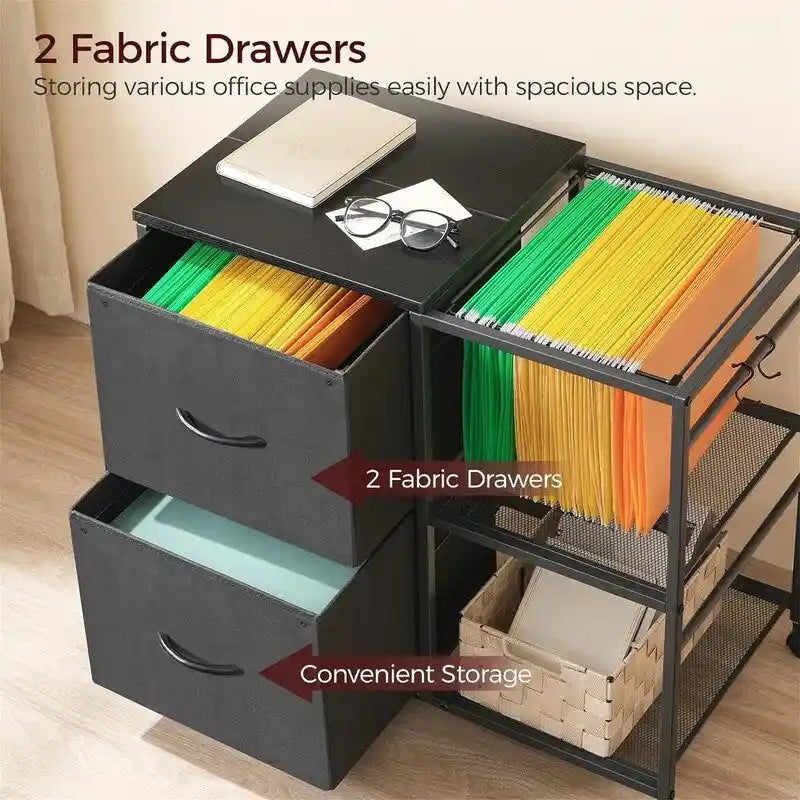 File Cabinet 2 Fabric Drawer Lateral Filing Cabinet fits A4 or Letter Size - 15.4 D x 27.9 W x 25.8 H
